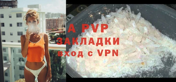 прущие крисы Балахна