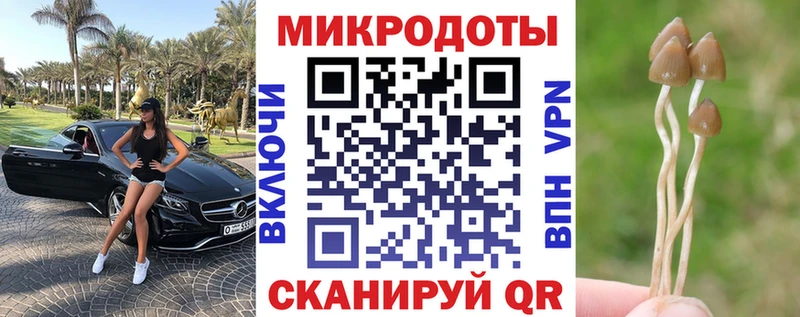 blacksprut рабочий сайт  Лосино-Петровский  Галлюциногенные грибы GOLDEN TEACHER 
